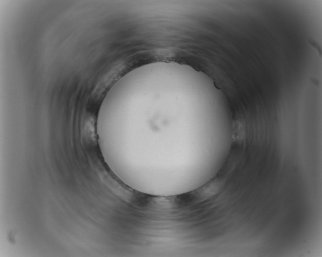 X0000103500238200809262021