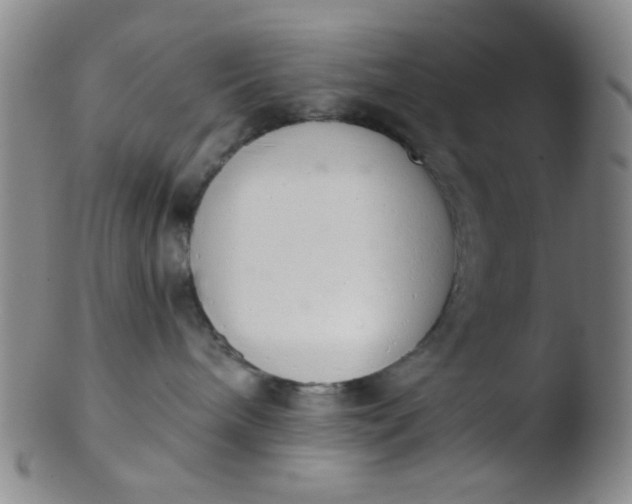 X0000103500240200809262021