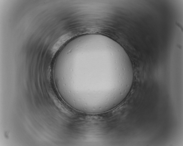 X0000103500242200809262020