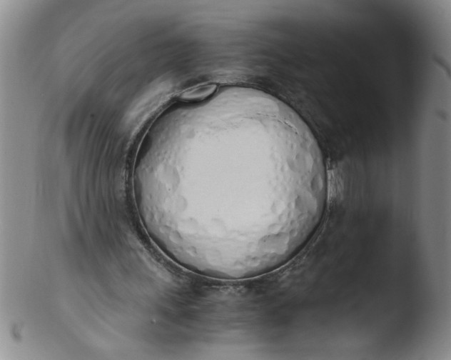 X0000103500243200809262020