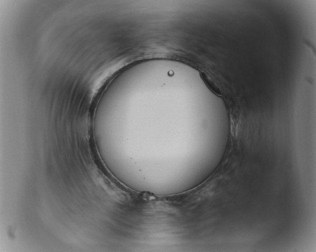 X0000103500244200809262020