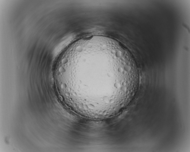 X0000103500245200809262020