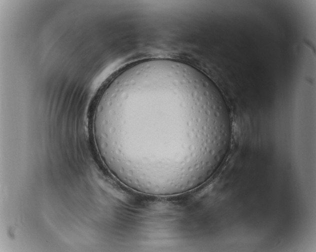 X0000103500246200809262020