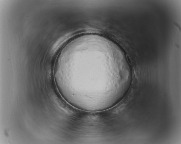 X0000103500247200809262020