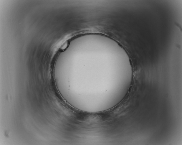 X0000103500248200809262020