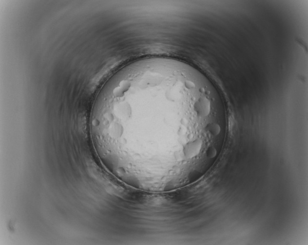 X0000103500249200809262020