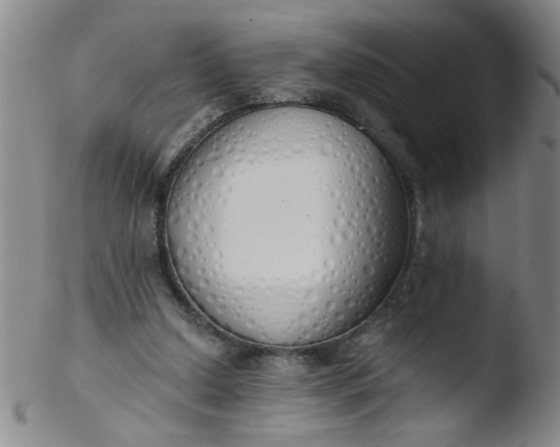 X0000103500250200809262020