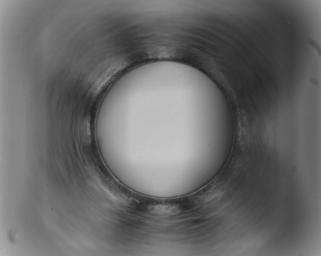 X0000103500251200809262020