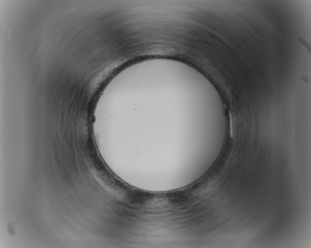 X0000103500252200809262020