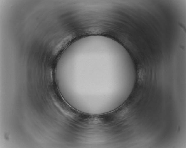 X0000103500254200809262020