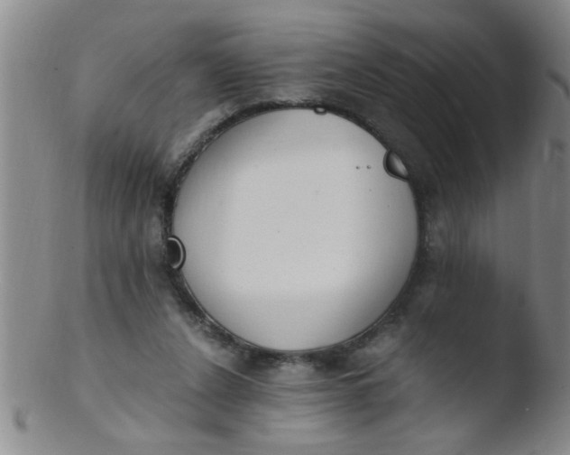 X0000103500256200809262020