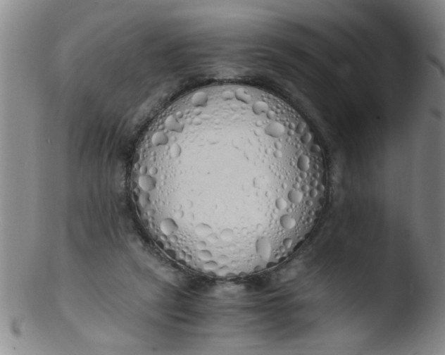 X0000103500257200809262020