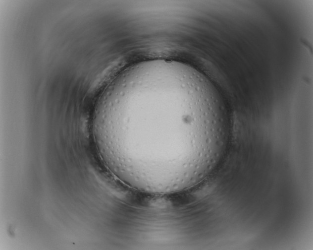 X0000103500258200809262020