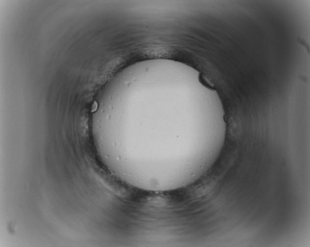 X0000103500259200809262020