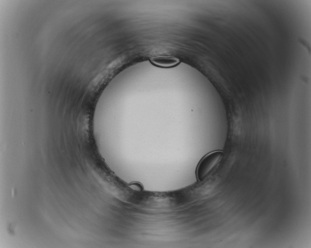 X0000103500260200809262020