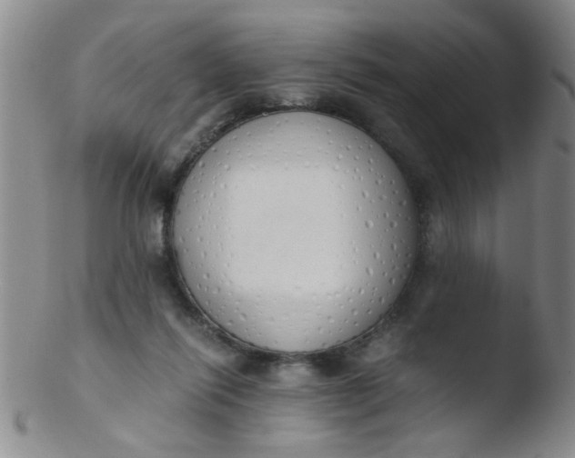 X0000103500262200809262020