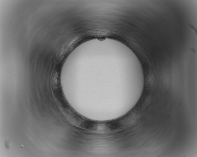 X0000103500264200809262020