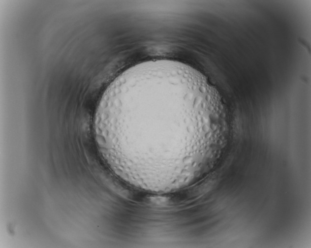 X0000103500265200809262020