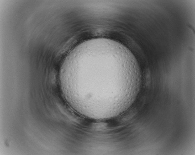 X0000103500266200809262020