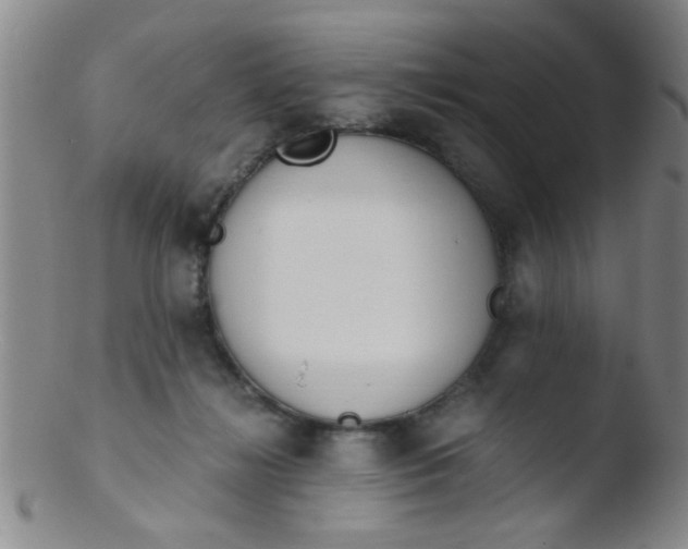 X0000103500268200809262020