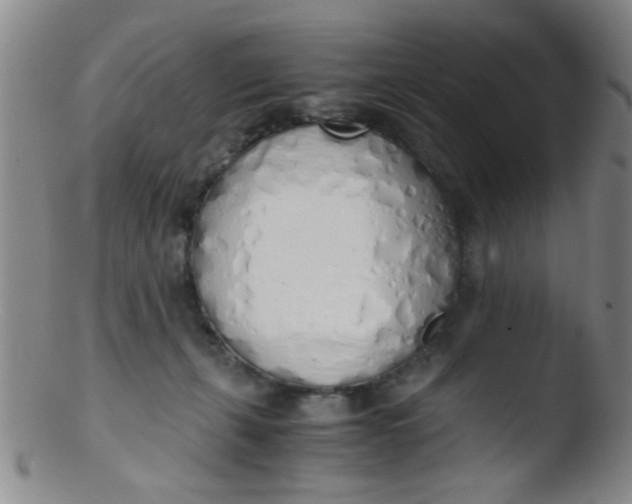 X0000103500271200809262020