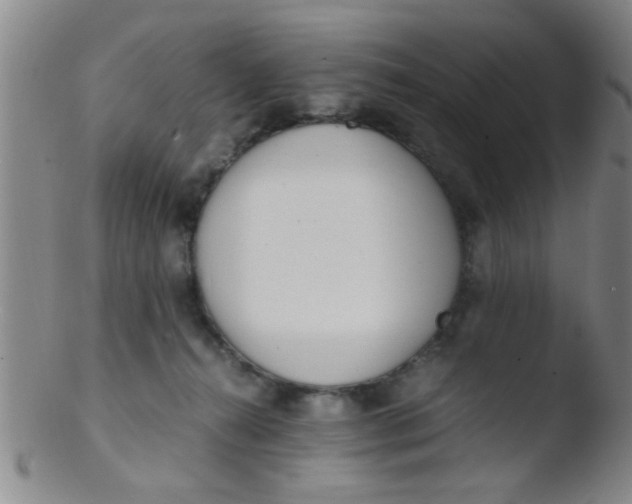 X0000103500272200809262020