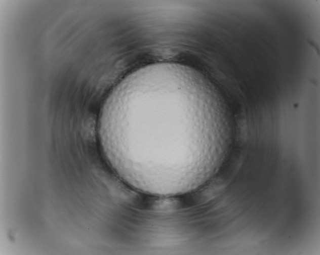 X0000103500274200809262020