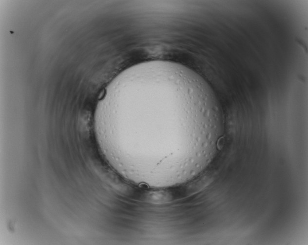 X0000103500275200809262020