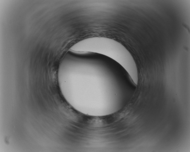 X0000103500276200809262020