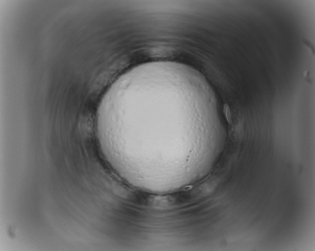 X0000103500277200809262020