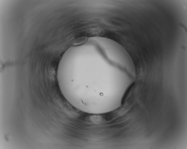 X0000103500279200809262020