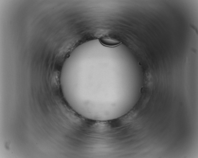 X0000103500280200809262020