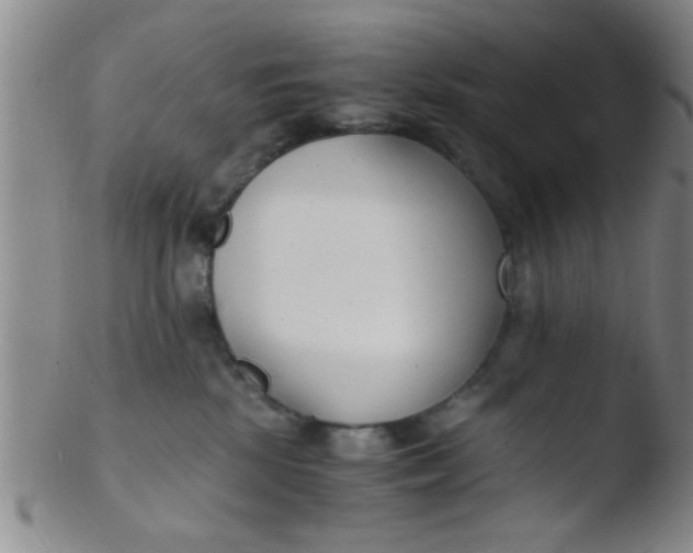 X0000103500281200809262020