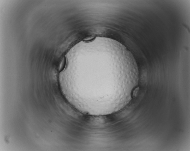 X0000103500282200809262020