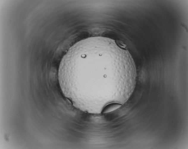 X0000103500283200809262020