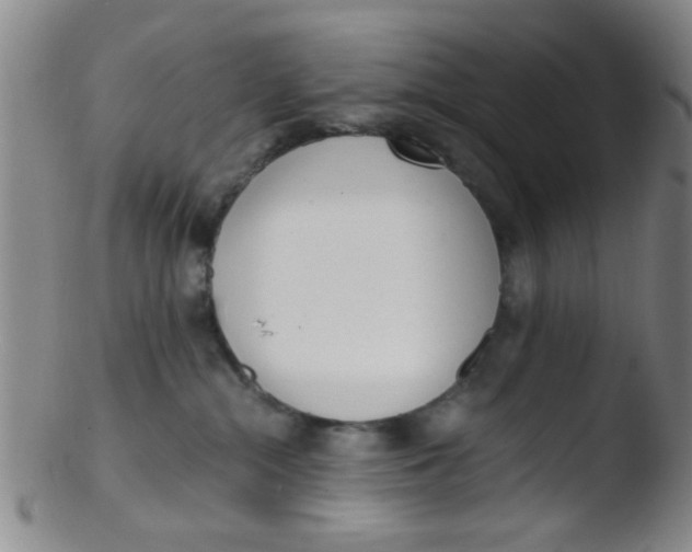 X0000103500284200809262020