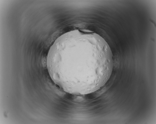 X0000103500285200809262020