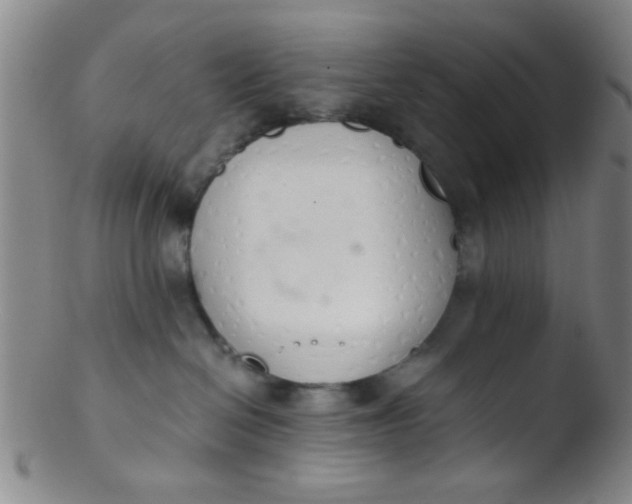 X0000103500286200809262020