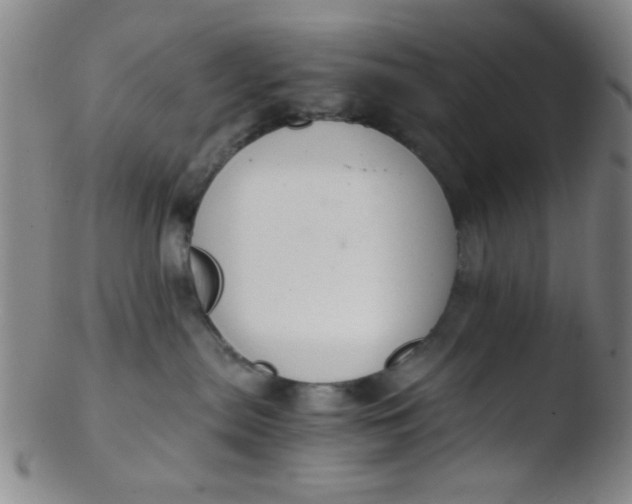 X0000103500287200809262020