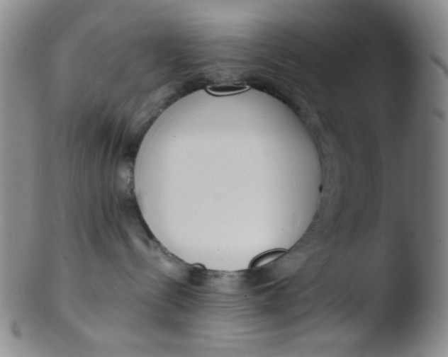 X0000103500288200809262020