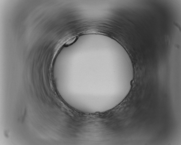 X0000103500289200809262020