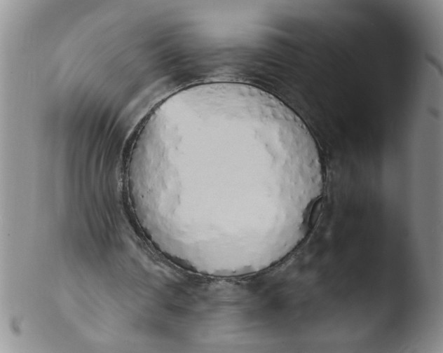 X0000103500290200809262020