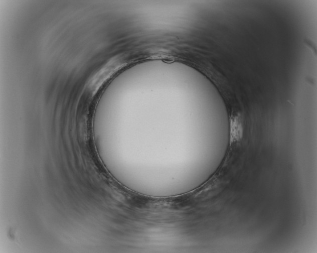 X0000103500291200809262020