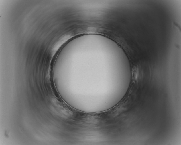 X0000103500292200809262020