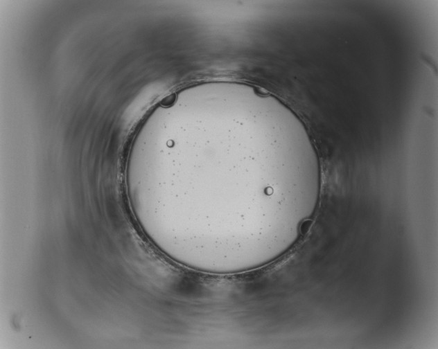 X0000103500293200809262020