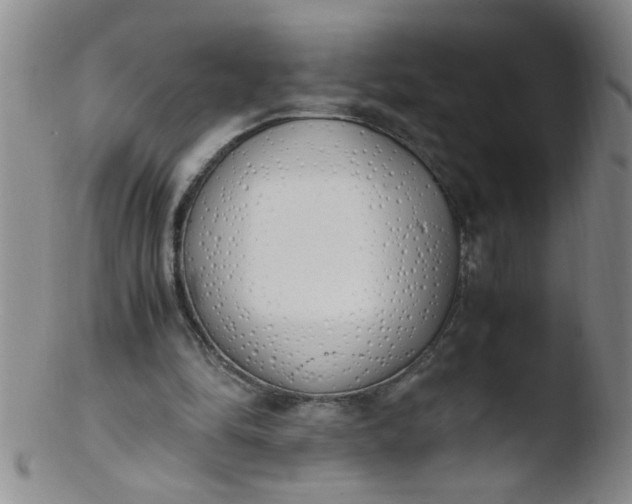 X0000103500294200809262020