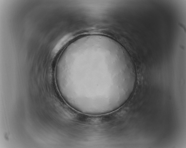 X0000103500295200809262020