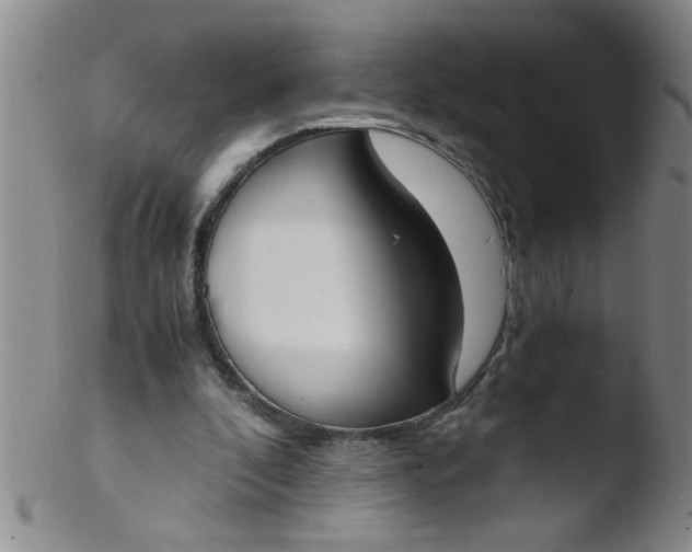 X0000103500296200809262020