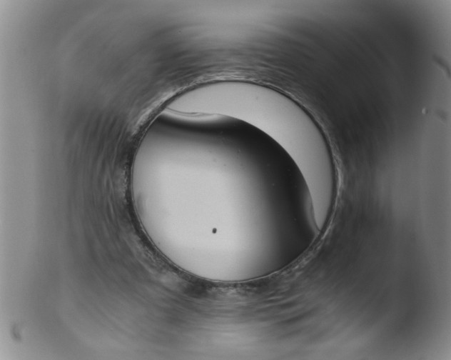 X0000103500297200809262020