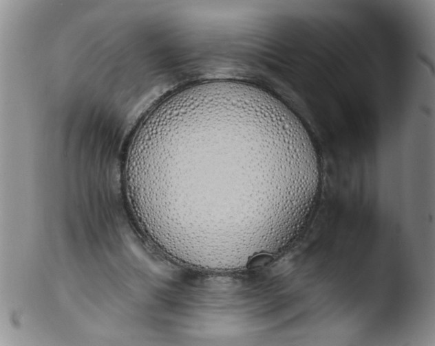 X0000103500298200809262019